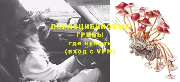дживик Иннополис
