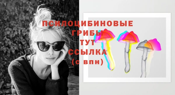 дживик Иннополис