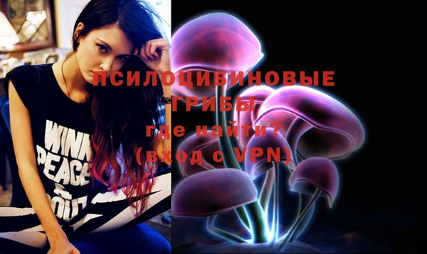 дживик Иннополис