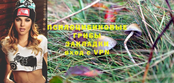 прущая мука Инсар