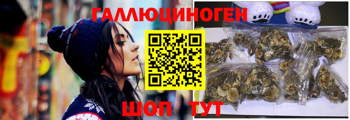 Галлюциногенные грибы мицелий  Вход с VPN  где купить   Череповец  Псилоцибиновые грибы прущие грибы 